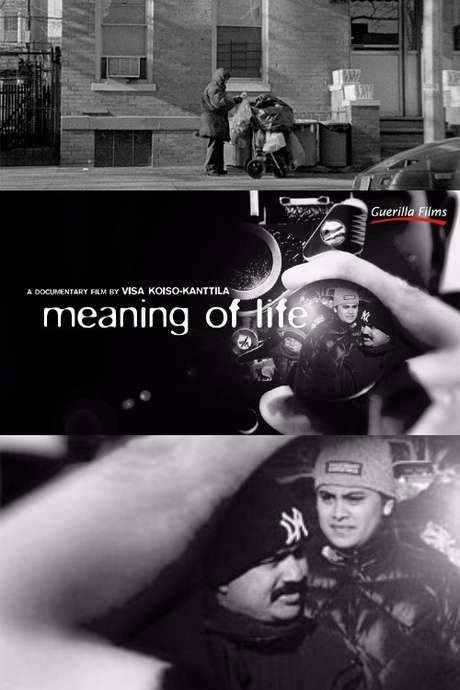 Meaning of Life (2008) movie poster