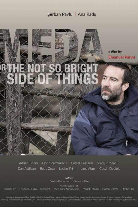 Meda or The Not So Bright Side of Things (2017) movie poster