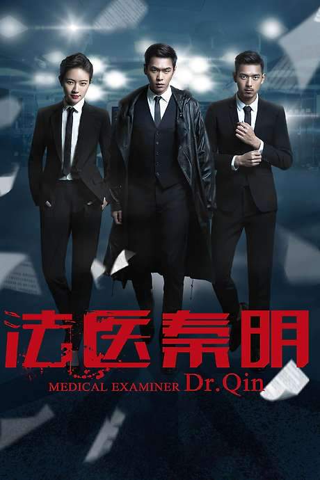 Medical Examiner Dr. Qin (2016) movie poster