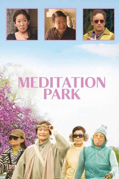 Meditation Park (2017) movie poster