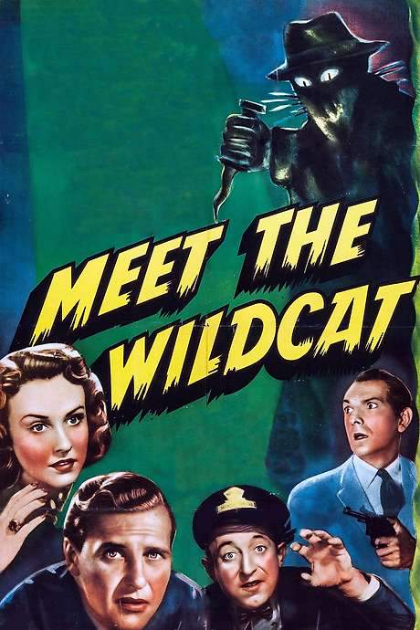 Meet the Wildcat (1940) movie poster
