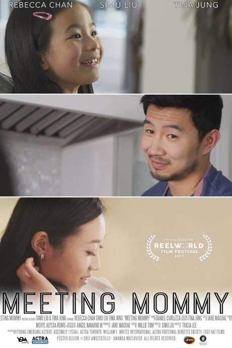 Meeting Mommy (2017) movie poster