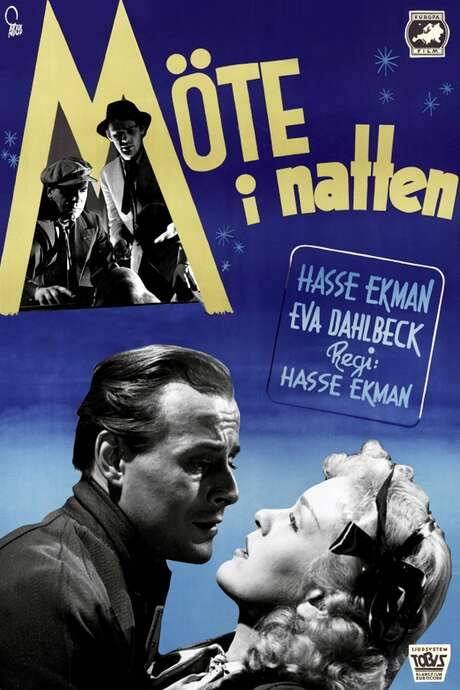 Meeting in the Night (1946) movie poster