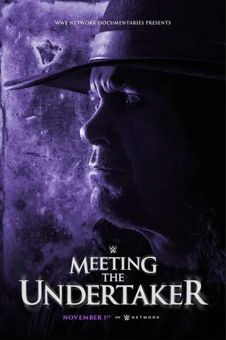 Meeting the Undertaker (2020) movie poster