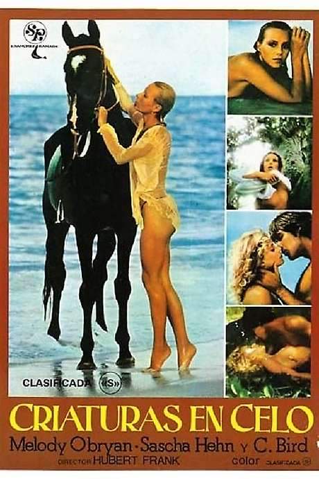 Melody in Love (1978) movie poster