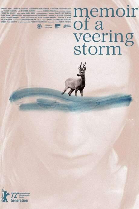 Memoir of a Veering Storm (2022) movie poster