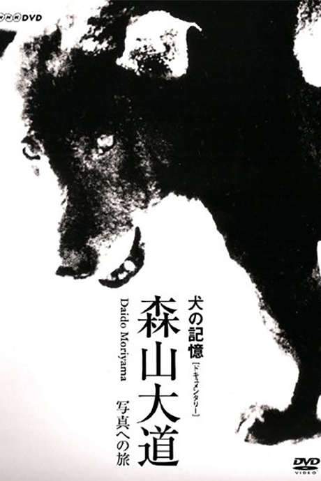 Memories of a Dog: Daido Moriyama’s Journey to Photography (2010) movie poster