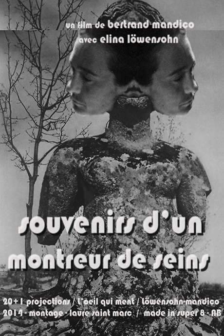 Memories of boobs flasher (2014) movie poster