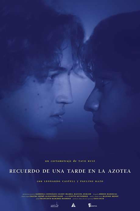 Memory of an Afternoon on the Roof (2022) movie poster