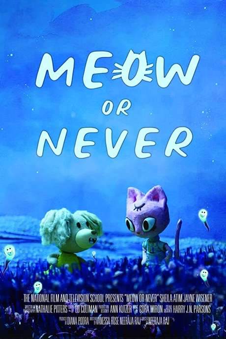 Meow or Never (2020) movie poster