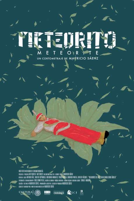 Meteorite