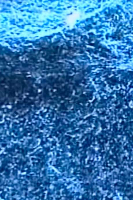 Microscopías (2003) movie poster