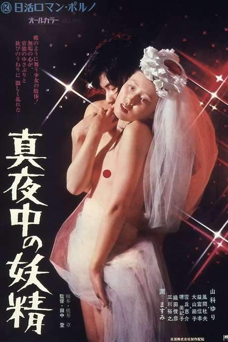 Midnight Fairy (1973) movie poster