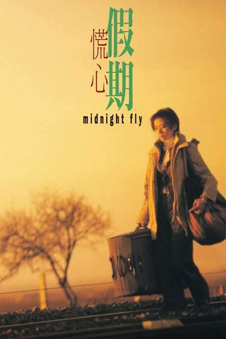 Midnight Fly (2001) movie poster