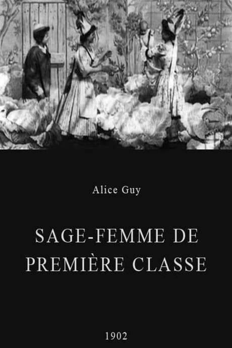 Midwife to the Upper Class (1902) movie poster