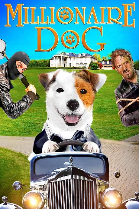 Millionaire Dog (2014) movie poster