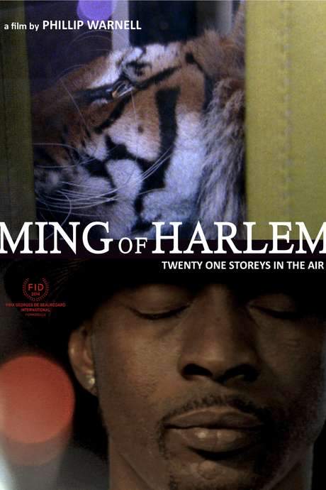 Ming of Harlem: Twenty One Storeys in the Air (2014) movie poster