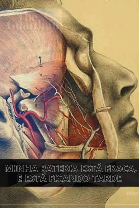 Minha Bateria Está Fraca e Está Ficando Tarde (2020) movie poster