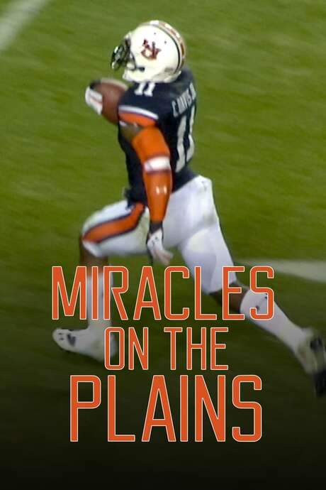 Miracles on the Plains (2015) movie poster