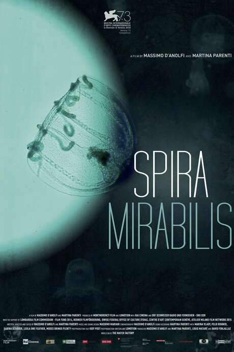 Miraculous Spiral (2016) movie poster