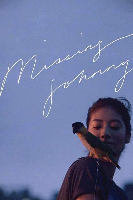 Missing Johnny (2017) movie poster