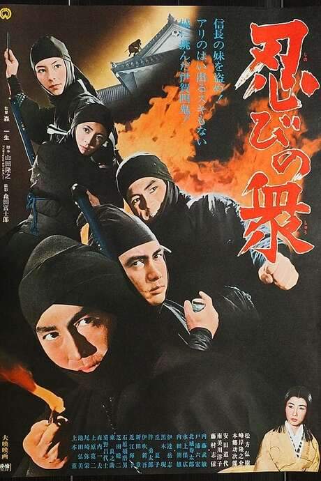 Mission: Iron Castle (1970) movie poster