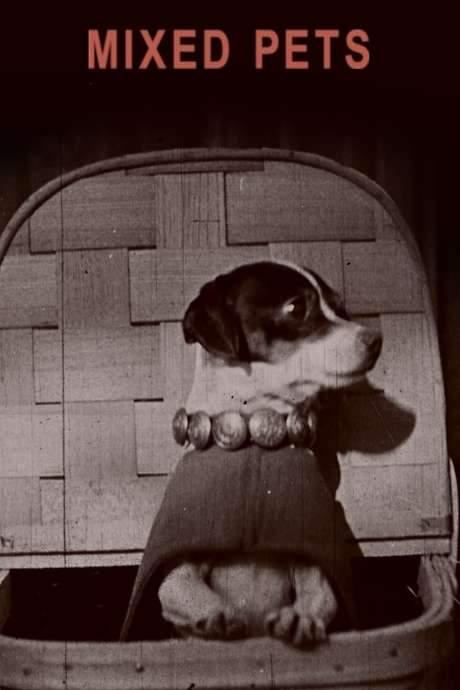 Mixed Pets (1911) movie poster