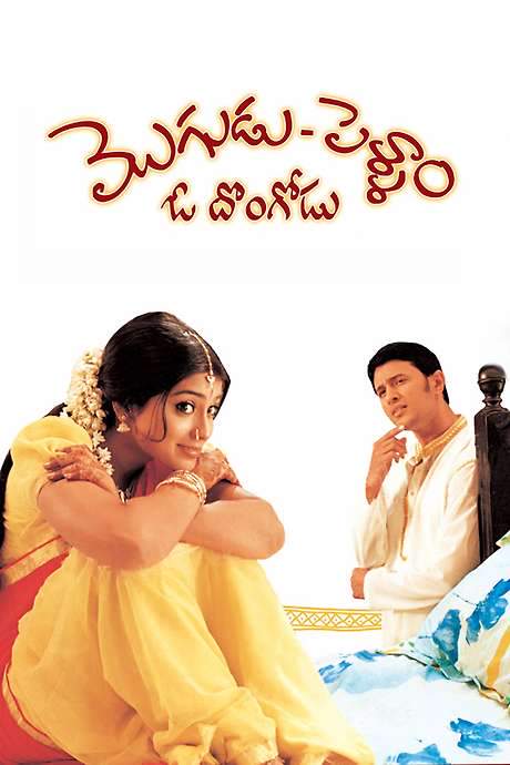 Mogudu Pellam O Dongodu (2005) movie poster