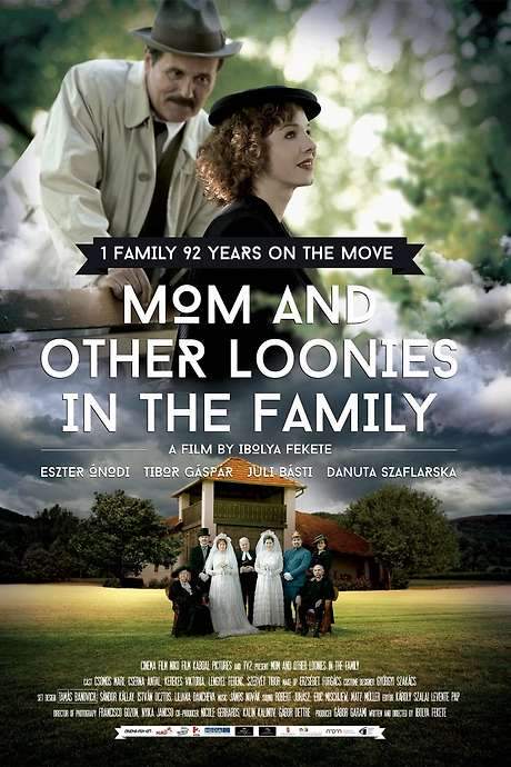 Mom and Other Loonies in the Family (2015) movie poster