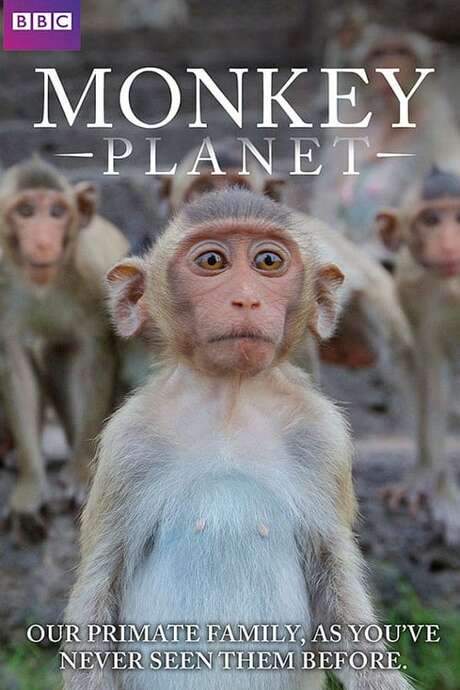 Monkey Planet (2014) movie poster