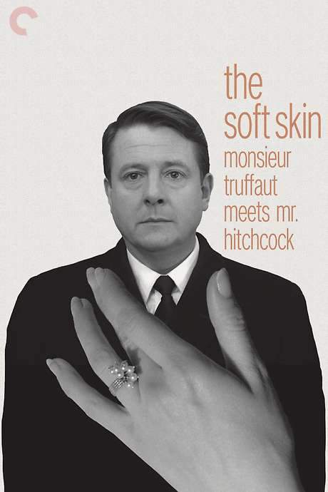 Monsieur Truffaut Meets Mr. Hitchcock (1999) movie poster