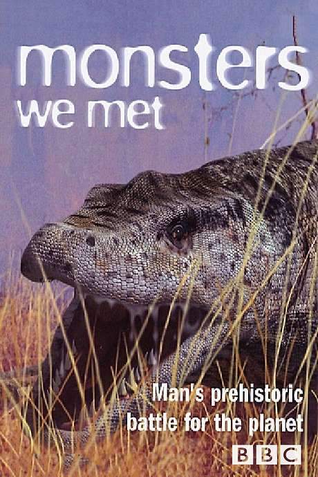 Monsters We Met (2003) movie poster