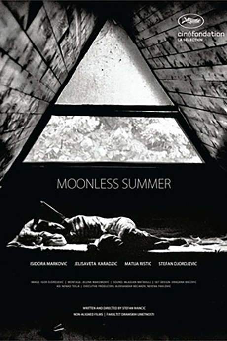Moonless Summer (2014) movie poster