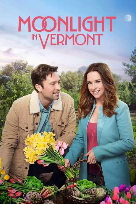 Moonlight in Vermont (2017) movie poster