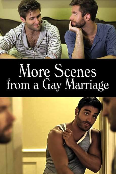 More Scenes from a Gay Marriage (2014) movie poster