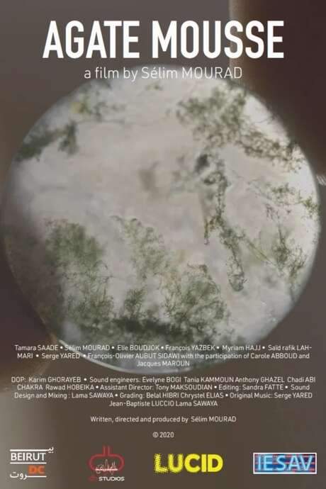 Moss Agate (2021) movie poster