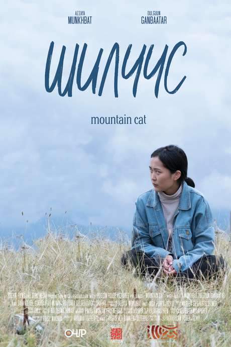 Mountain Cat (2020) movie poster