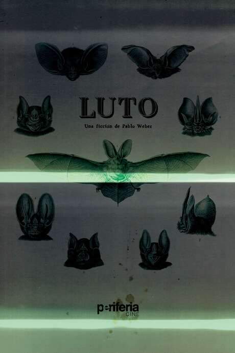 A poignant exploration of grief and loss, this fictional work delves into the complexities of mourning. It examines the sadness felt after a death, as well as the rituals and outward expressions of sorrow. The narrative explores the emotional journey of those left behind and the ways they grapple with change and remembrance.