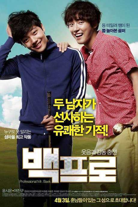 Mr. Perfect (2014) movie poster