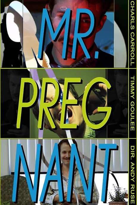 Mr. Pregnant (2019) movie poster