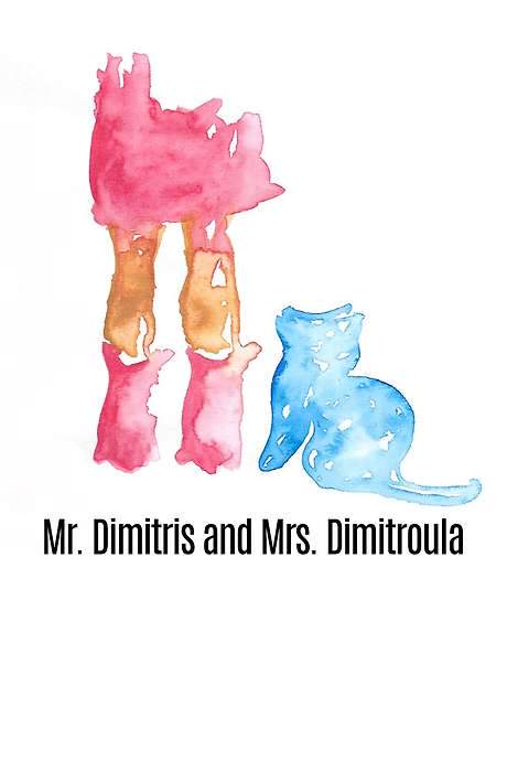 Mr. Dimitris and Mrs. Dimitroula (2019) movie poster
