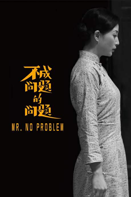 Mr. No Problem (2016) movie poster