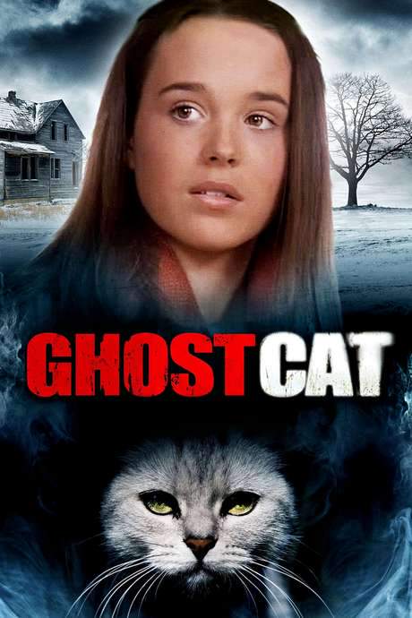 Mrs. Ashboro’s Cat (2003) movie poster
