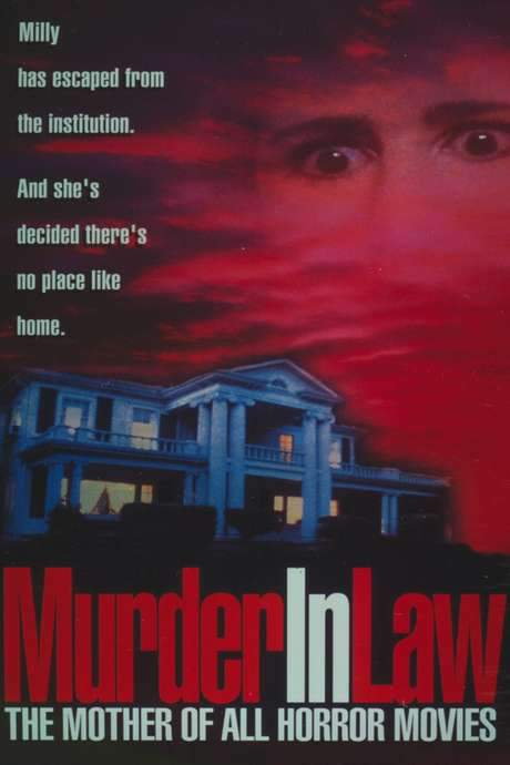 Murder in Law (1989) movie poster