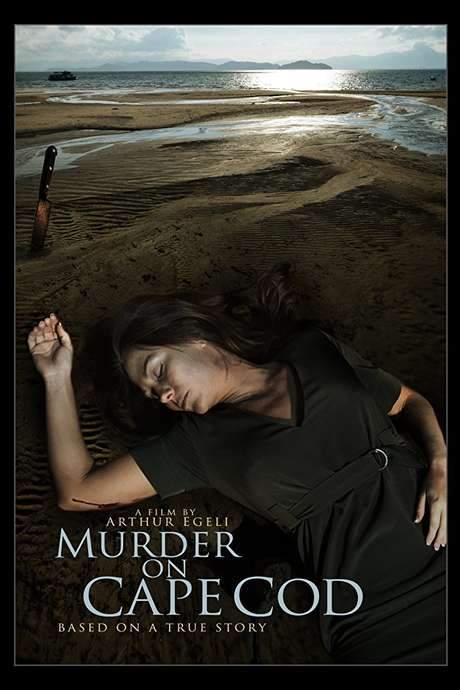 Murder on the Cape (2017) movie poster