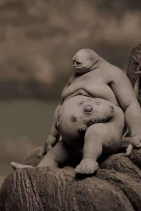 A lone, enigmatic humanoid finds himself stranded on a massive rock isolated in the ocean. With no shelter or sustenance, he is forced to grapple with the meaning of his existence and the profound mystery that underlies the survival of his species.