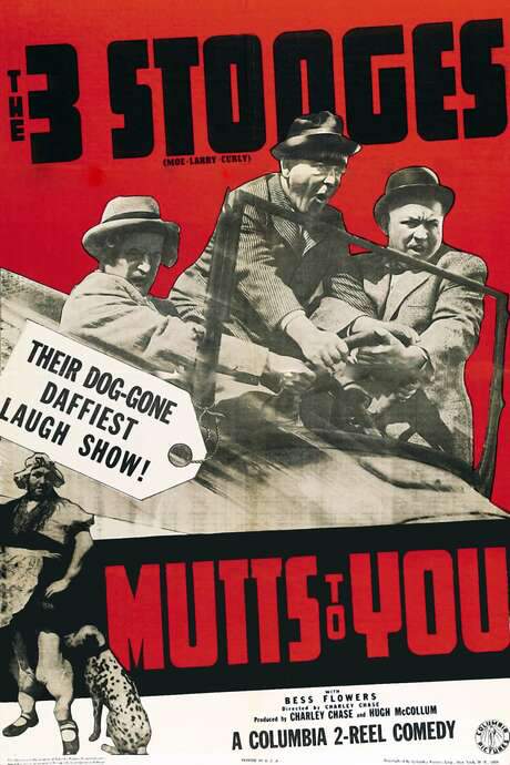Mutts to You (1938) movie poster