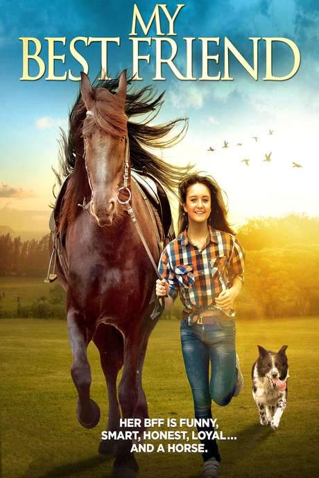 My Best Friend (2016) movie poster