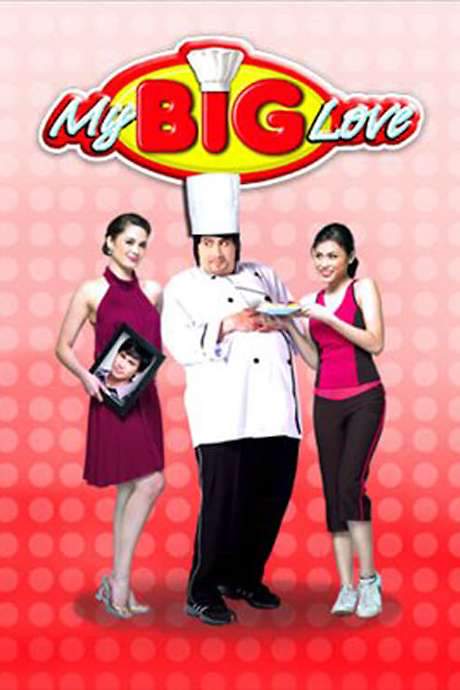 My Big Love (2008) movie poster