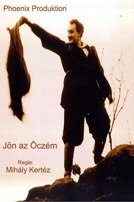 My Brother Is Coming (1919) movie poster